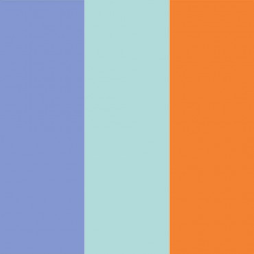 Xobo Furniture Misti Colour Combination